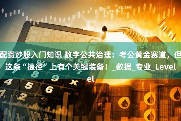 配资炒股入门知识 数字公共治理：考公黄金赛道，但这条“捷径”上有个关键装备！_数据_专业_Level